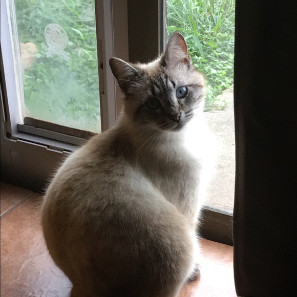 Meet your Posher, Miranda - Picture 8 of 11